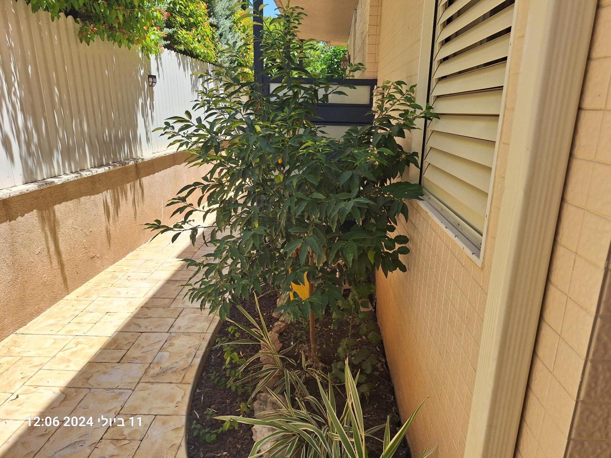 הבית הירוק Hotel Karmiel Eksteriør billede
